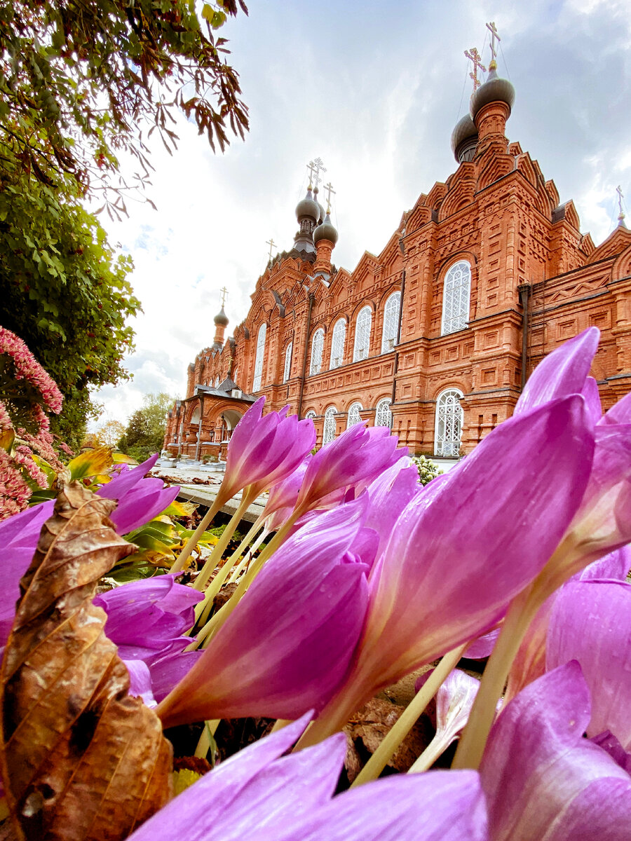 Казанский собор. Все фото автора