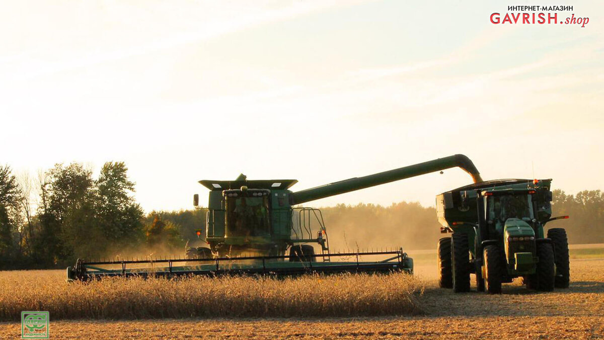 Комбайн собирает урожай 