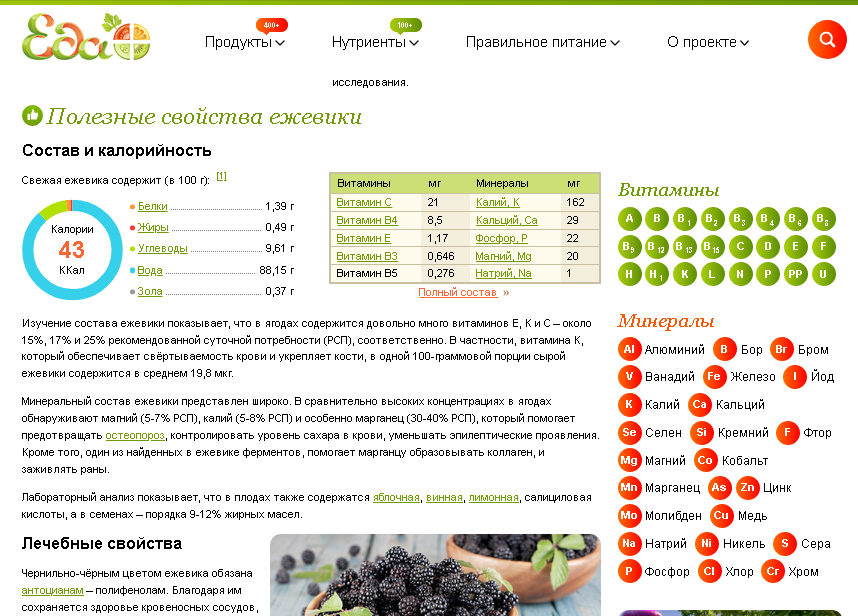 Скрин страницы указанного сайта