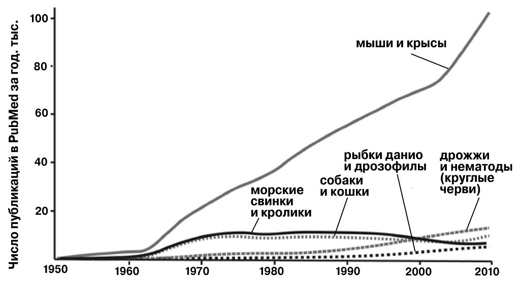 Число публикаций, где в качестве лабораторного объекта было использовано то или иное животное, по десятилетиям