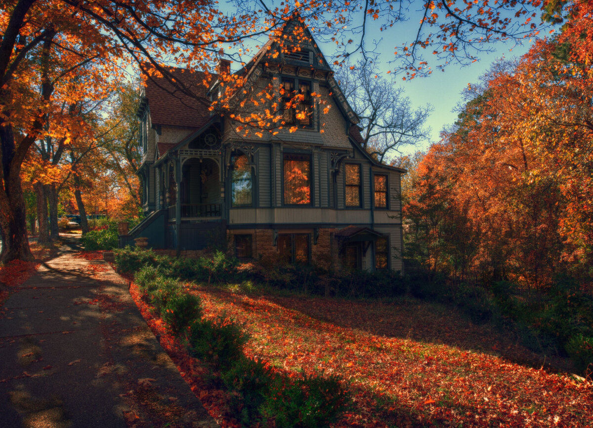 Фото из открытых ресурсов интернета