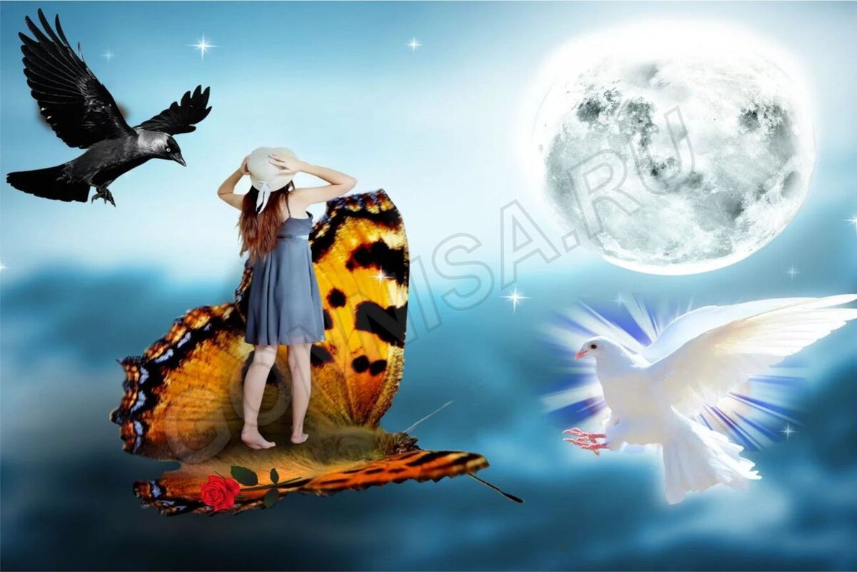    Тест - Чего Вам не хватает в настоящее время Pavlov A