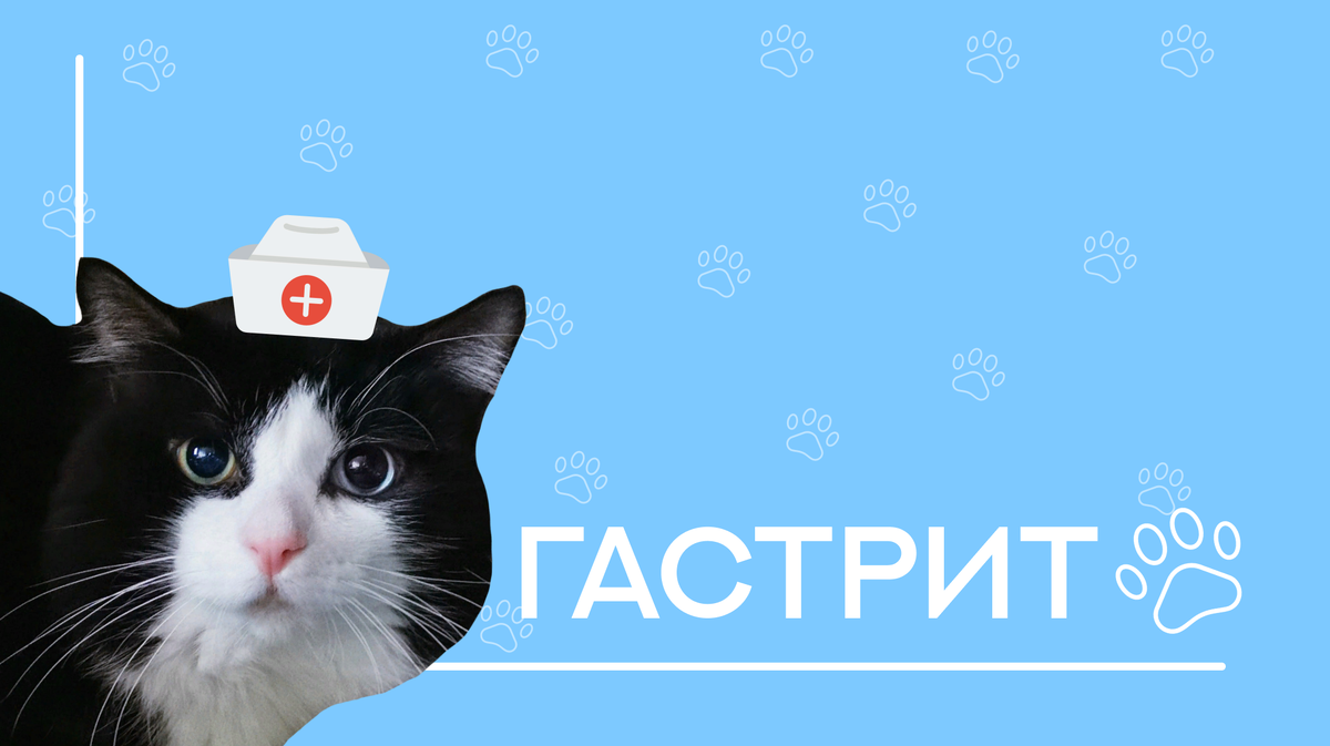 © ВСЕ ОТТЕНКИ КОШАЧЬЕГО. На обложке кот Василий Алексеевич 🐾