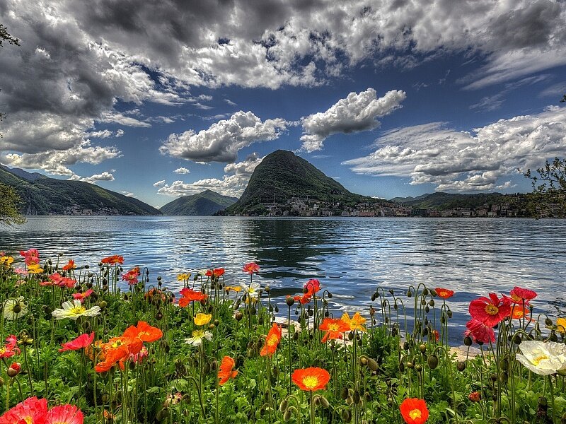                                                помог доплыть до берега