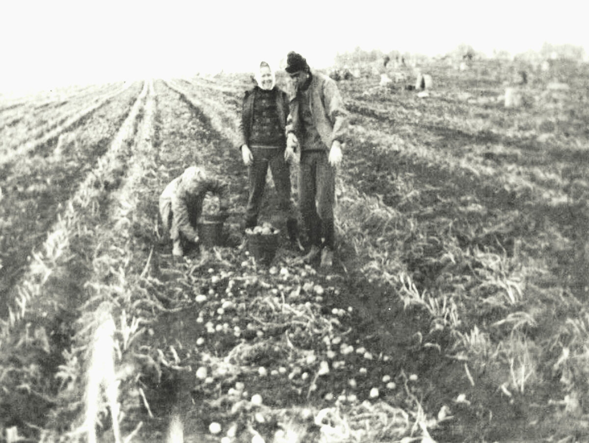 Колокольчики-бубенчики ду-ду, А я сегодня на работу не пойду. Пускай работает железный механизм, Я подожду, пока построят коммунизм.