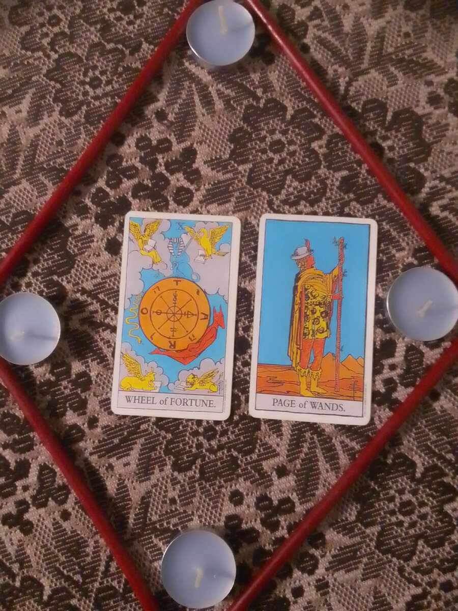 Личное фото автора.