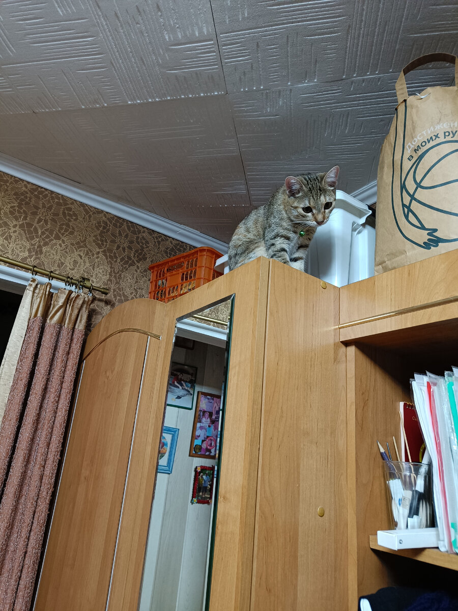 "Мама! Смотри что я умею!"