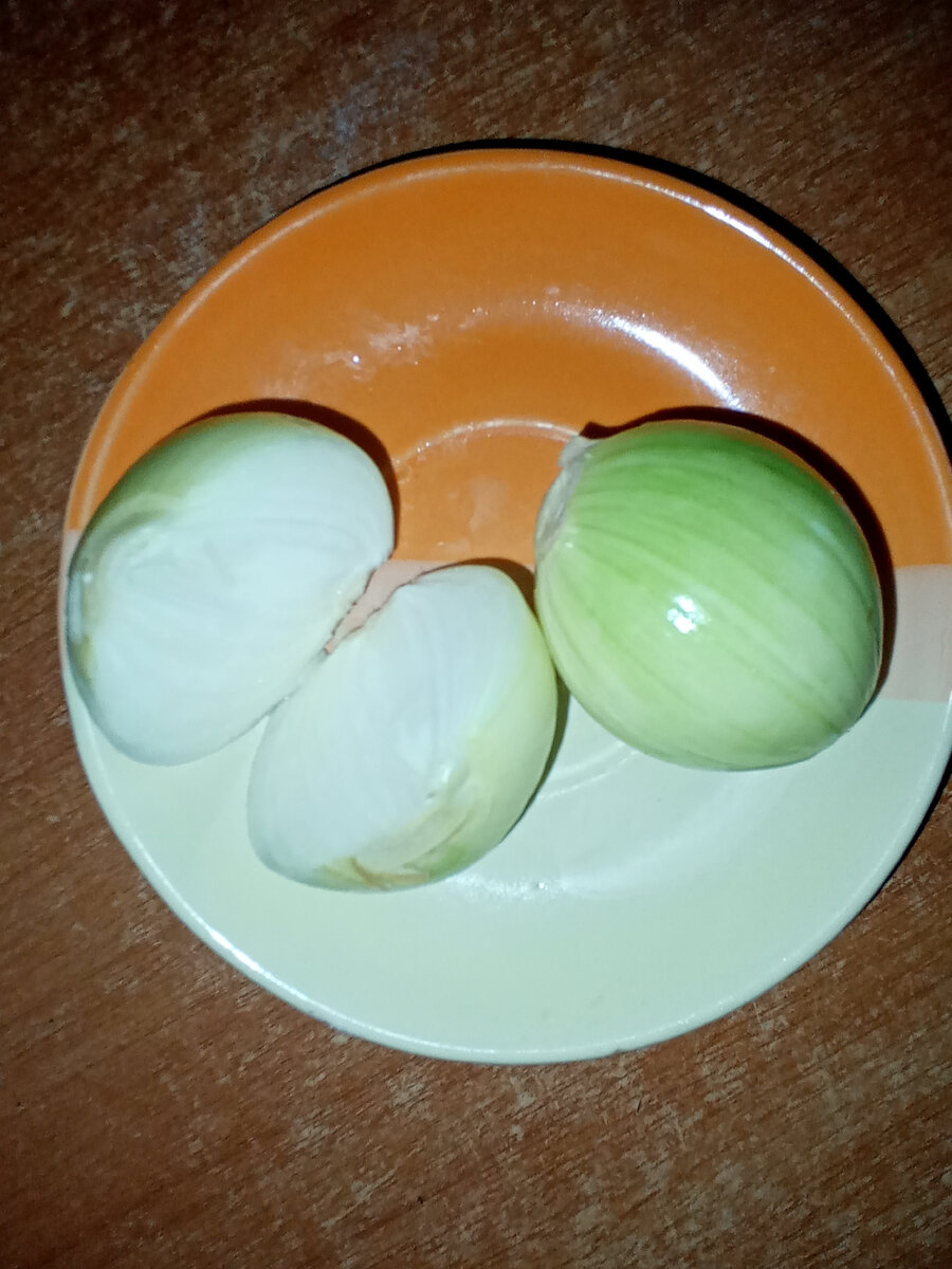 Лук из морозилки. Фото автора. 