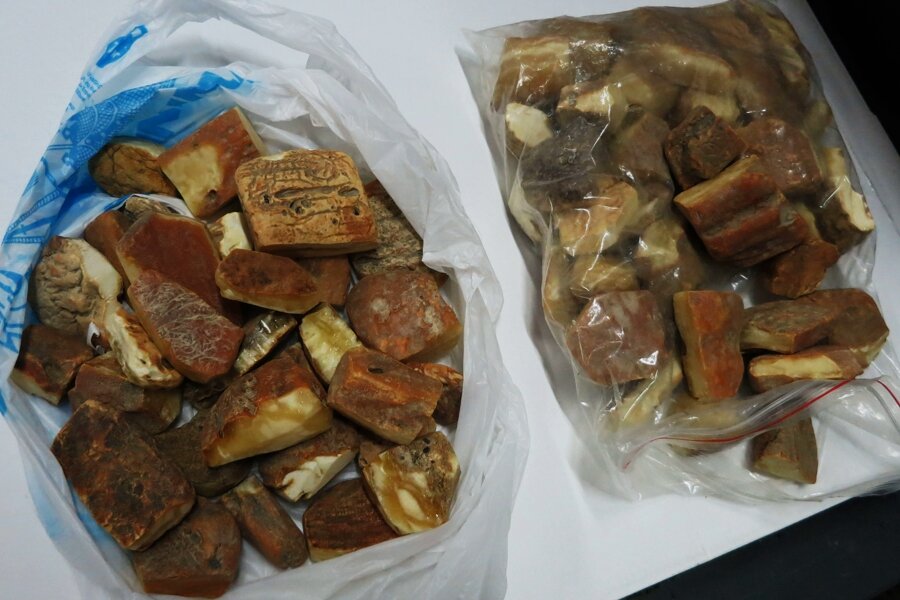 Фото: Калининградская областная таможня