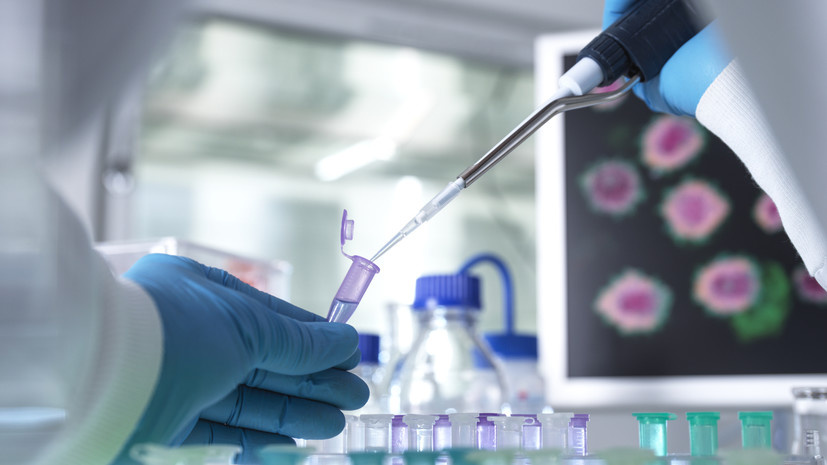   Gettyimages.ru Andrew Brookes