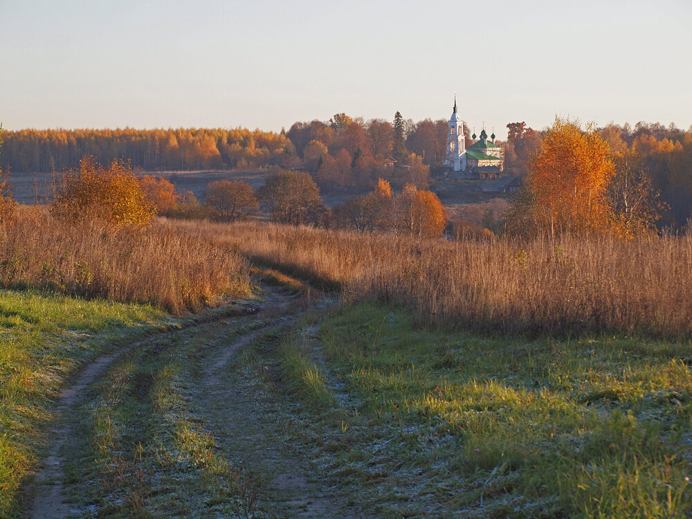 Золотая осень. 