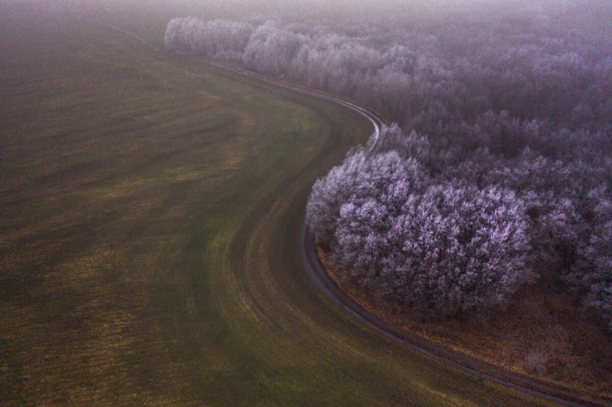 📍 Туманное осеннее утро. Природа спит, готовится к долгой зиме 💜