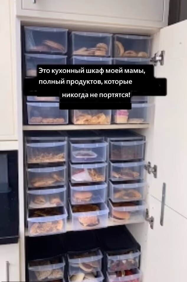 Пользователь TikTok @elifgkandemir, из Эссекса, поделился роликом о шкафе своей мамы-диетолога, полном исследований, в котором находятся ящики с едой, которая, по ее словам, «никогда не испортится».