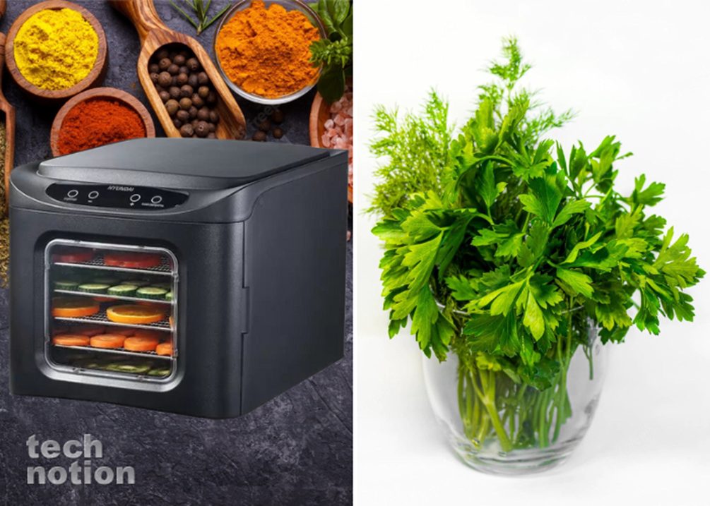 Больше не выбрасываем увядшую зелень (Сушильная камера для продуктов Hyundai HYFD-S1202) / Изображение дзен-канал technotion