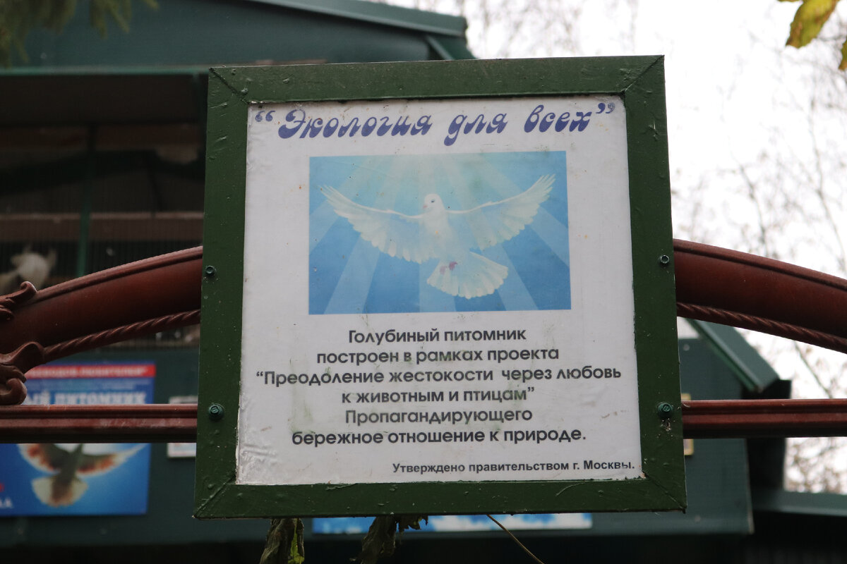 фото автора Елены М.