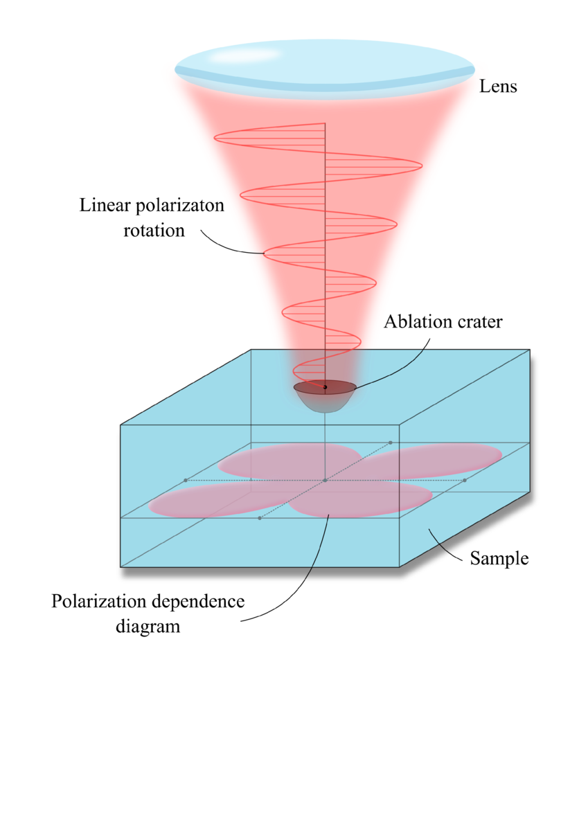 Рисунок 1. Поляризационная зависимость лазерной абляции поверхности алмаза с симметрией четвертого порядка. Источник: Krasin et al. / Applied Surface Science, 2022