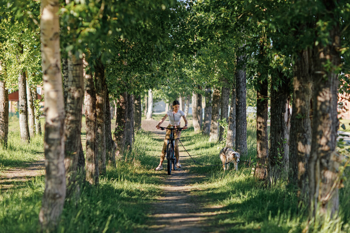 Размеренная жизнь на свежем воздухе. Приятные прогулки 