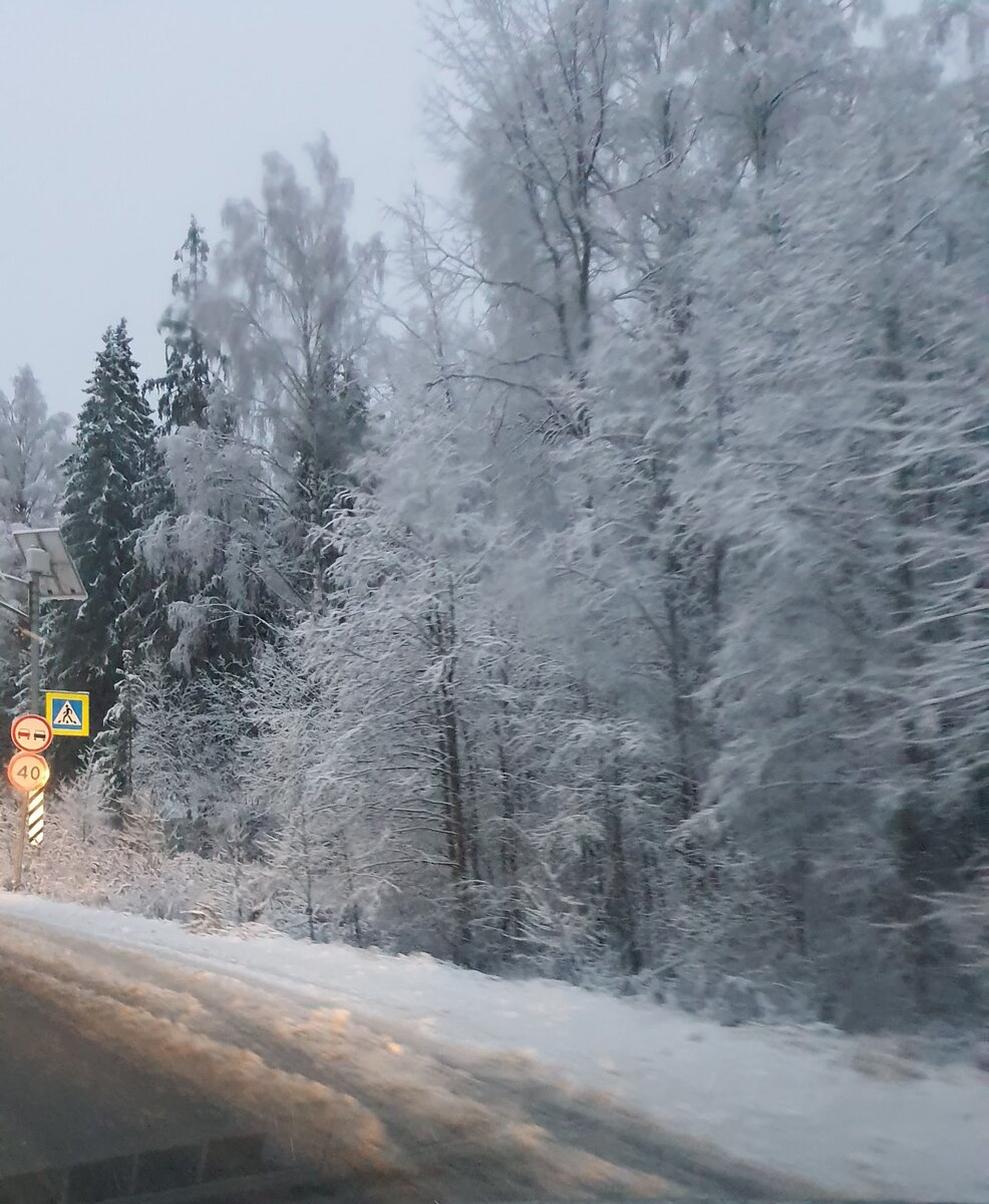 Покаталась по области. Такую красоту встретила в лесу 🥰