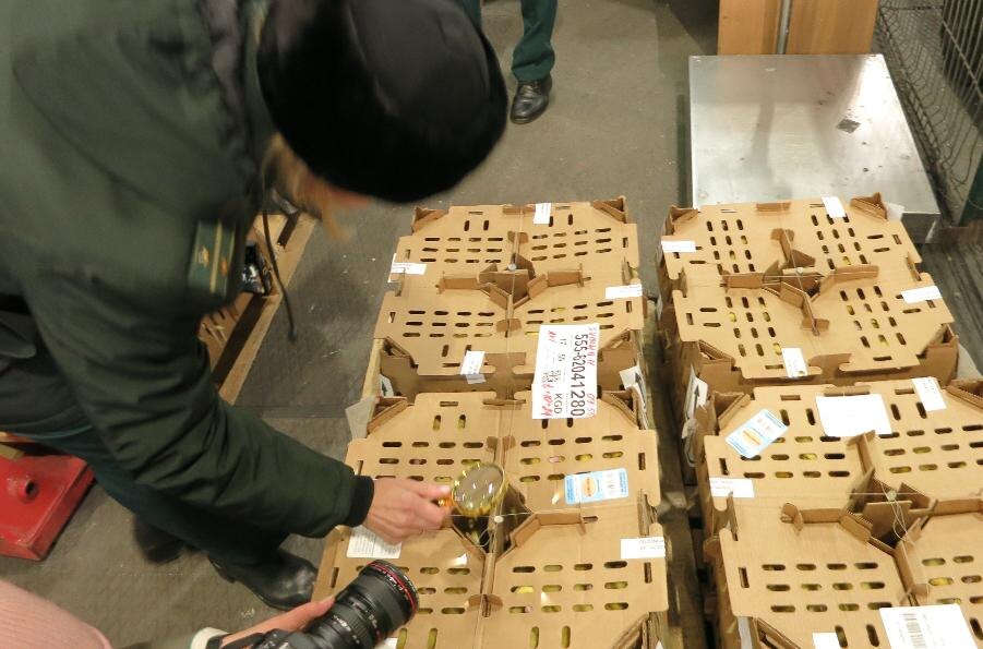 Фото Калининградской областной таможни