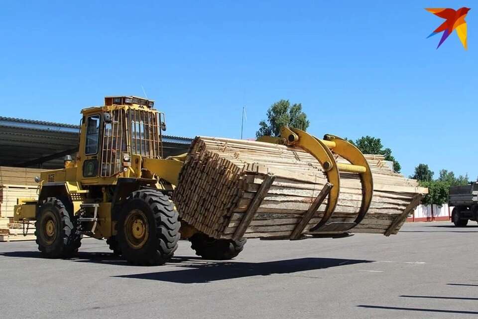     Посол назвал два белорусских продукта питания, у которых есть перспектива при поставке в Израиль. Снимок используется в качестве иллюстрации. Фото: архив «КП»