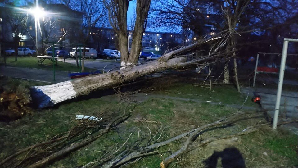     Фото: t.me/alekseioderov