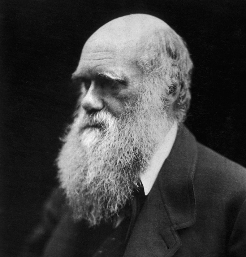 Фотография Чарльза Дарвина в 1868 году. Автор Джулия Маргарет Камерон