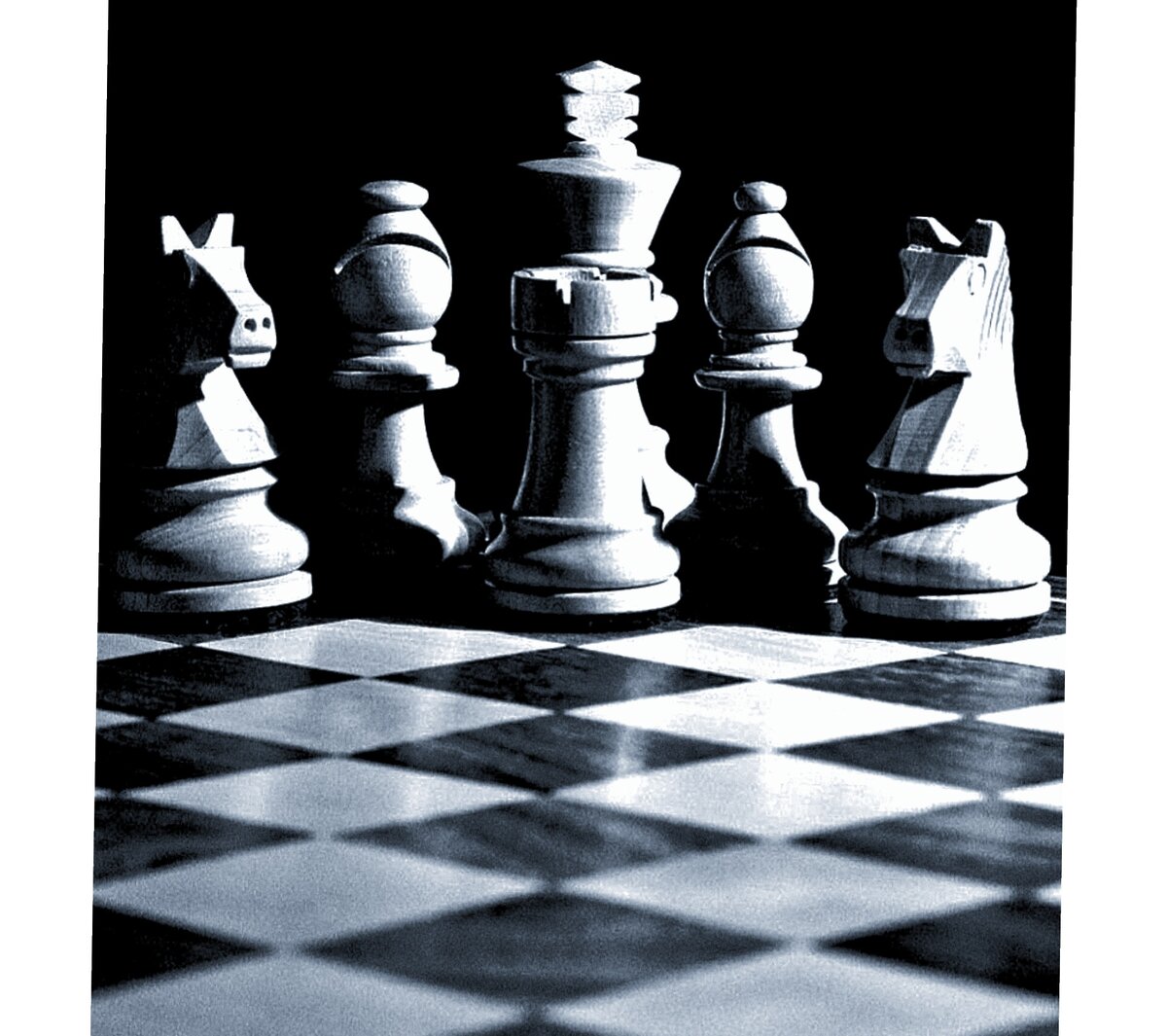 Белая ладья сургут шашки. Шахматы красивые. Магнус карлсен. Районные соревнования по шахматам белая ладья. Фигуры в шахматах.