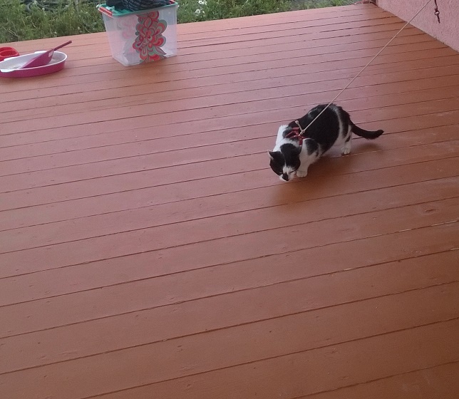 Веранда у дома - построили сами