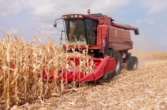 Фото с сайта novostipmr.com