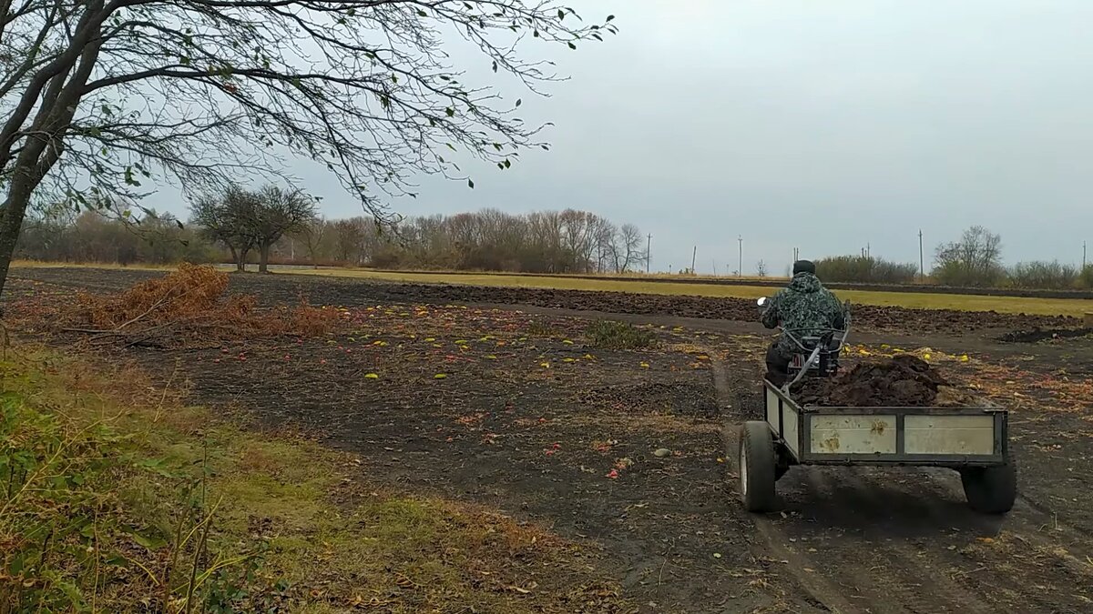 Самодельный прицеп для мотоблока на осенних работах в огороде
