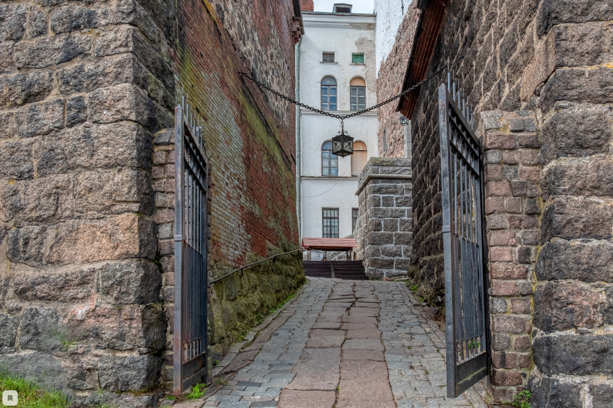 Фото Александра Дроздова