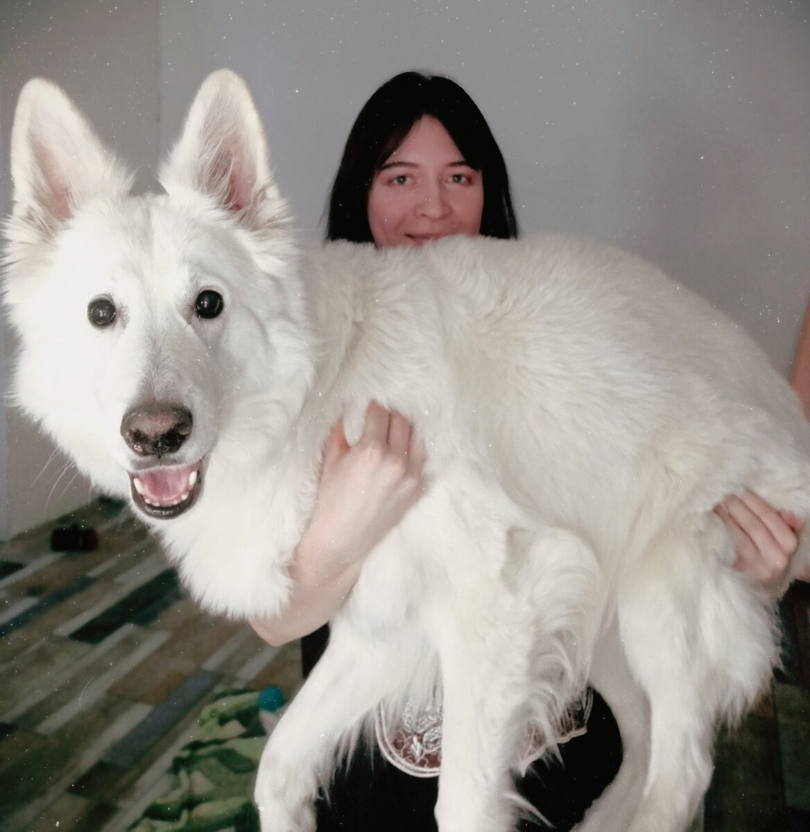 Лучший мой подарочек - это Тетя лошадь!