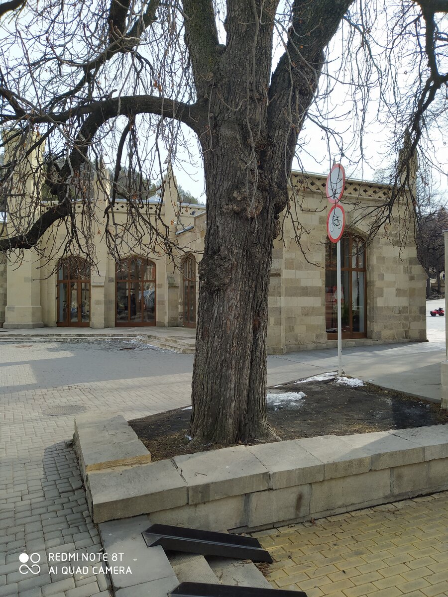 Возле питьевой галереи "Нарзан"