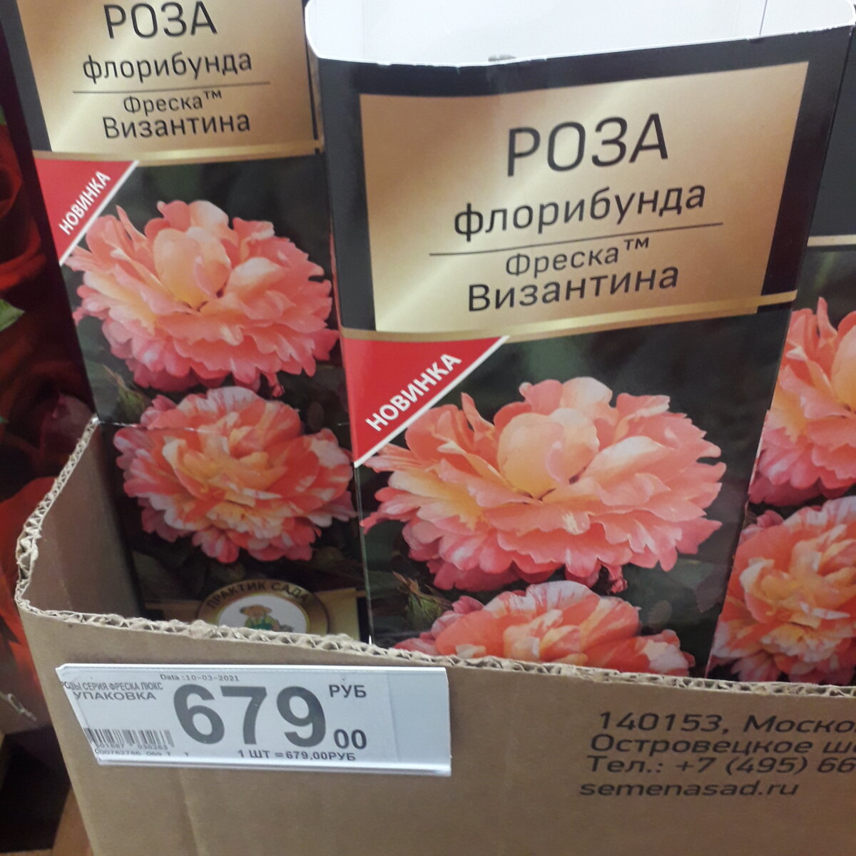 Сравнила цены на саженцы и луковицы цветов в АШАНе и ОБИ. Много фото.