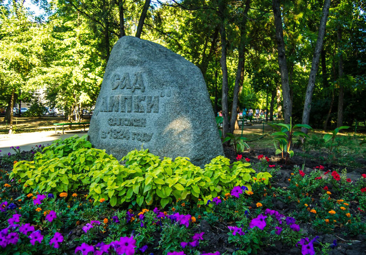 Парк липки в саратове