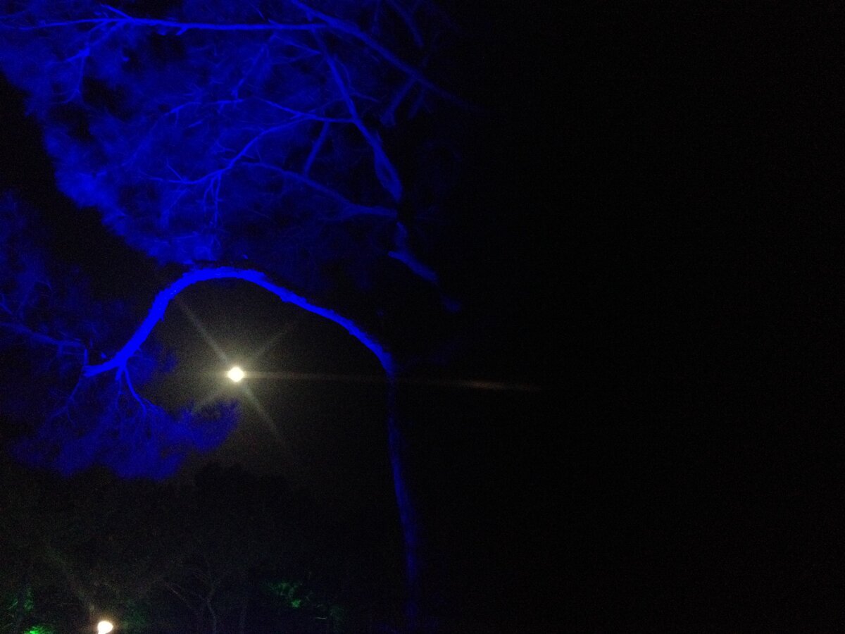 Труднопреодолимое время регламента(