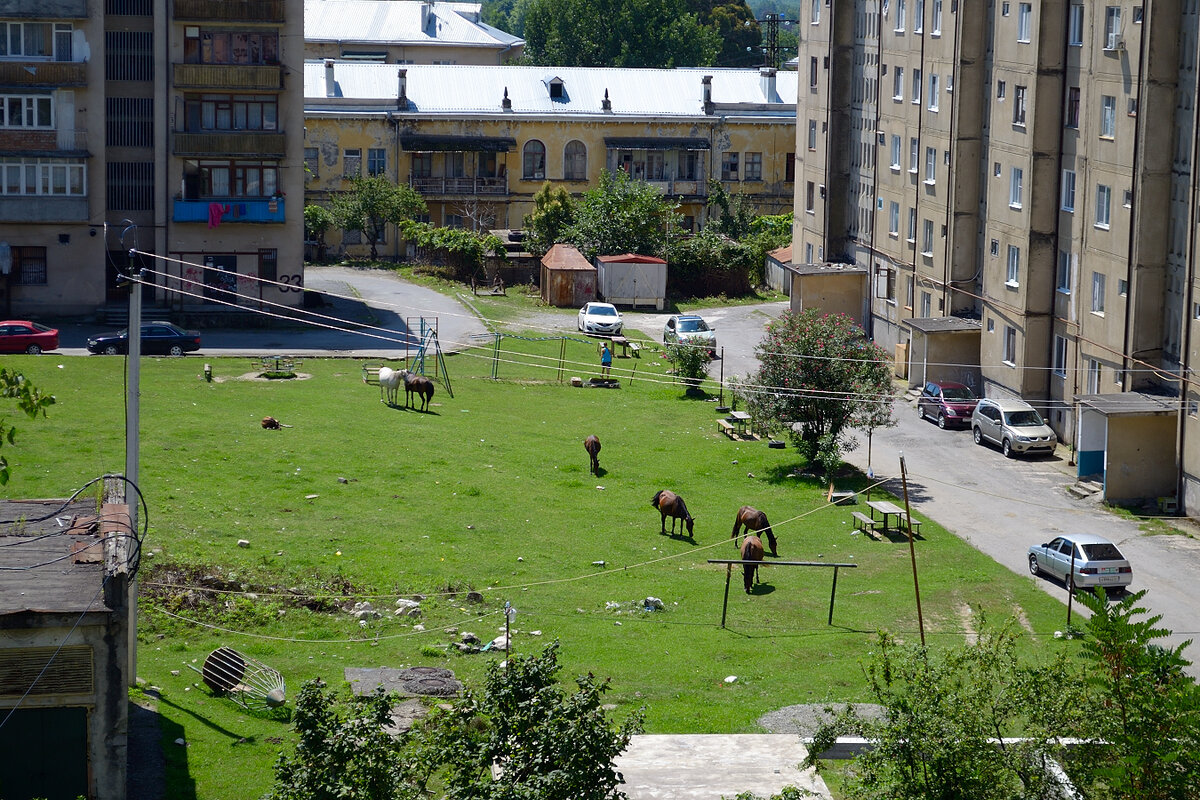 Вид из окна квартиры в которой мы жили