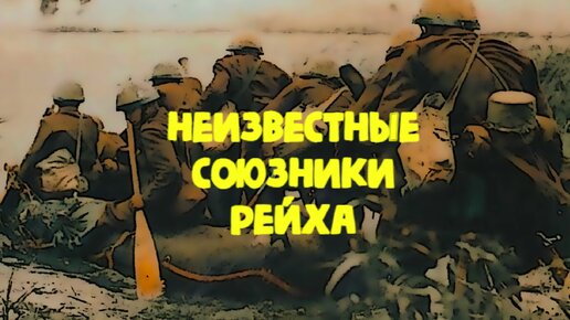 Неизвестные союзники Гитлера