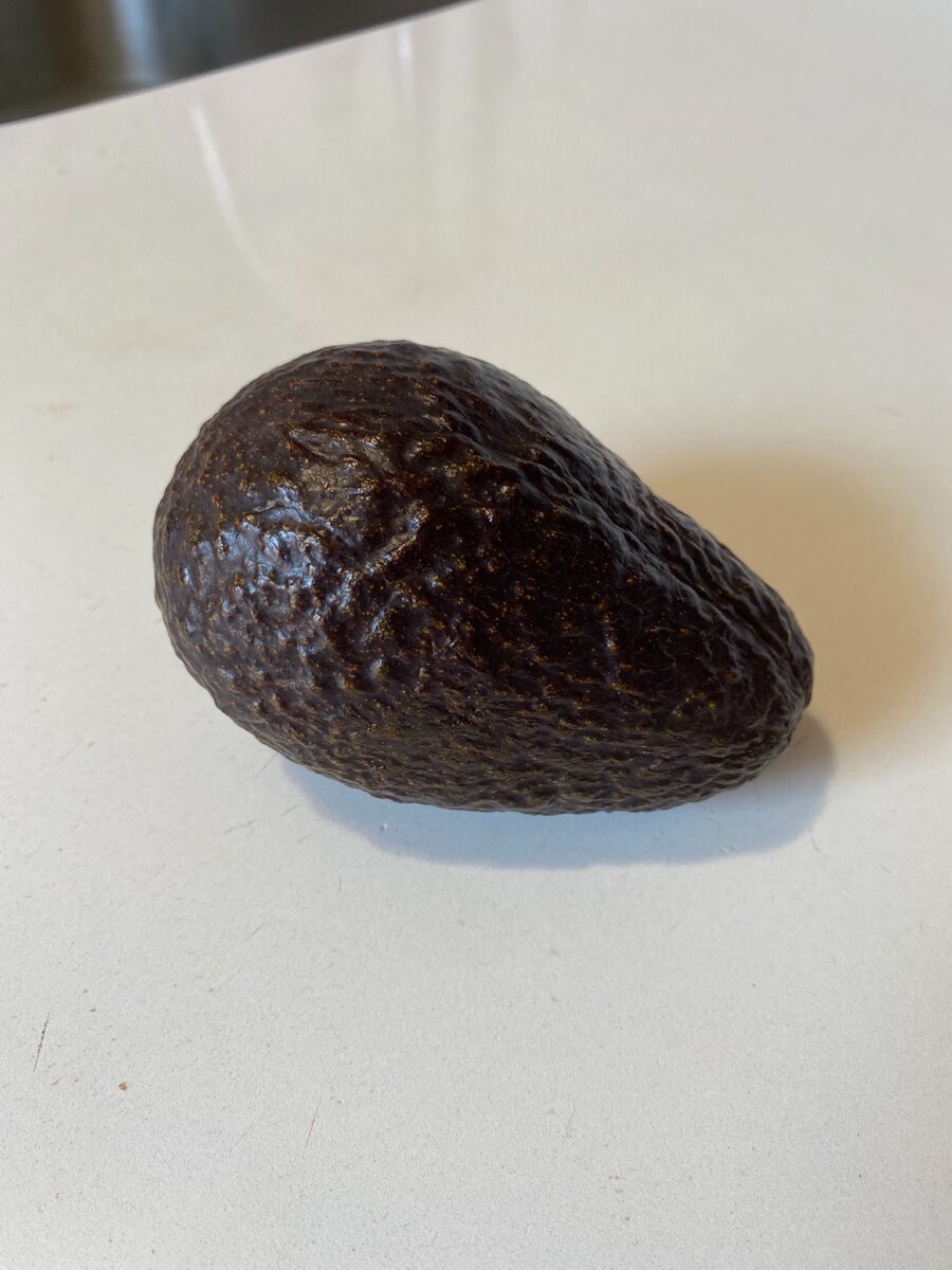 Фото автора. Авокадо.