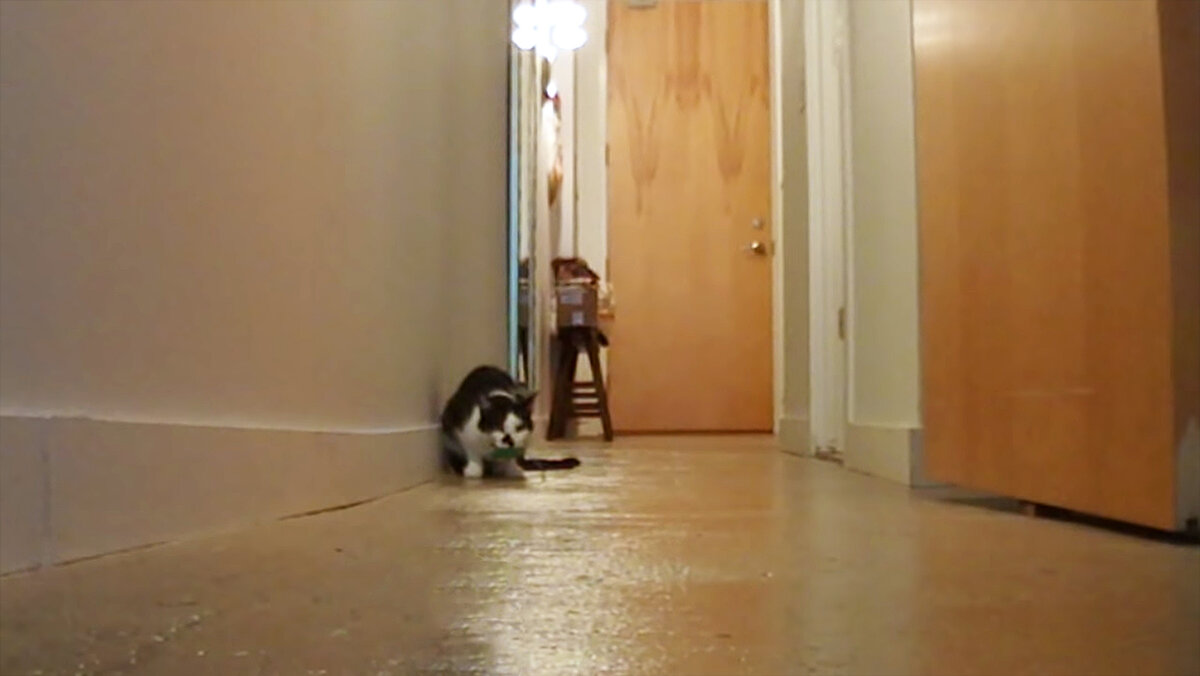 Источник данного фото: YT Sho Ko