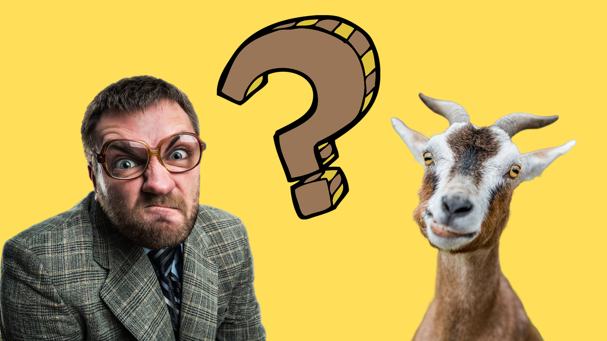 Коллаж автора 