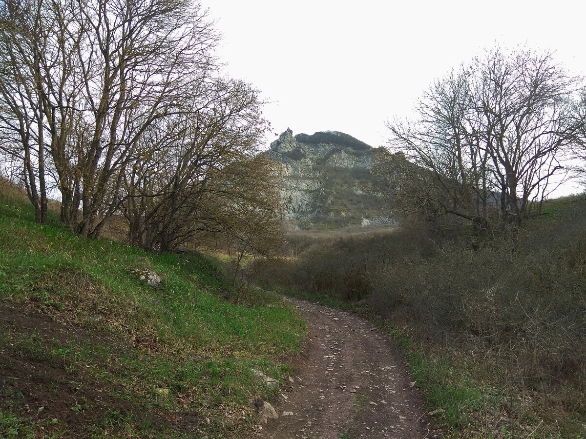 Дорога к горе Змейке