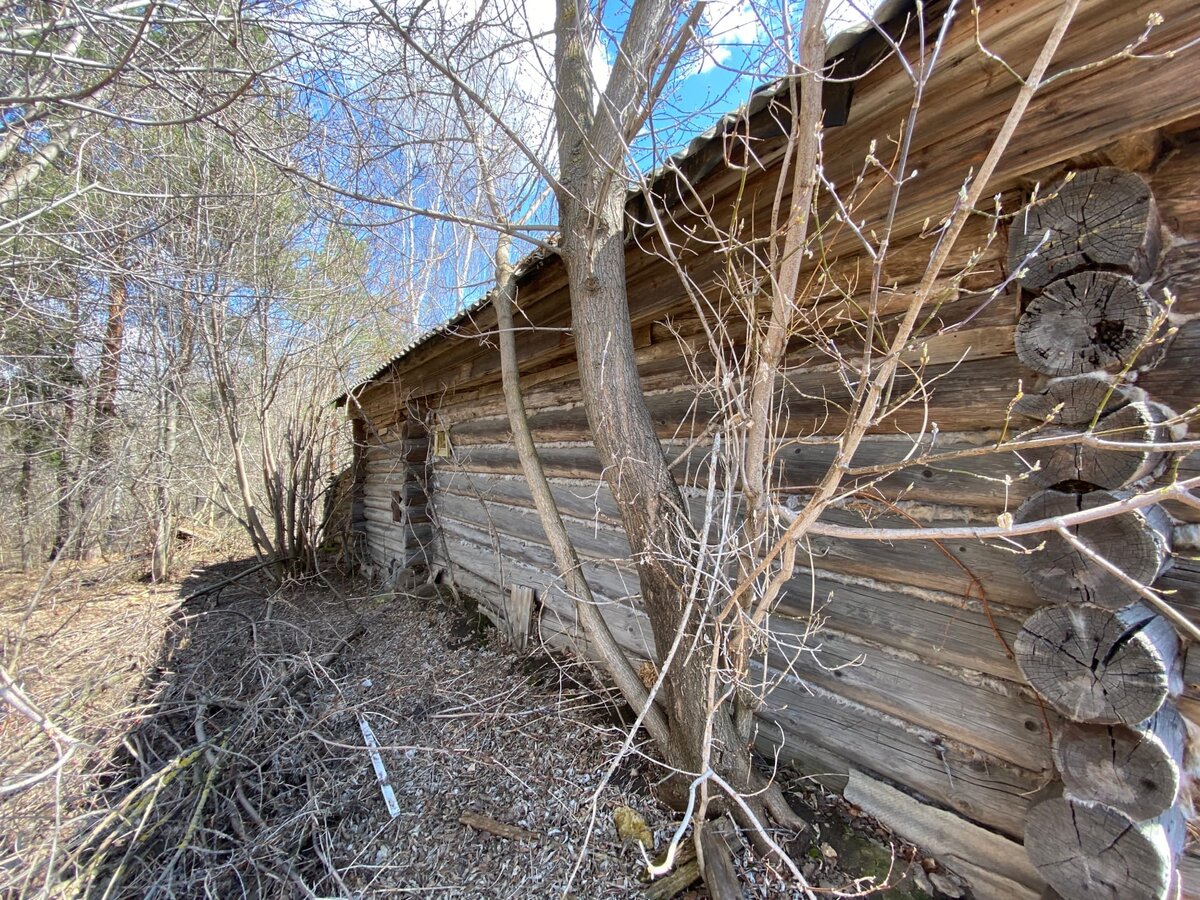 Когда это был крепкий деревенский дом. Сейчас - простая заброшка ...