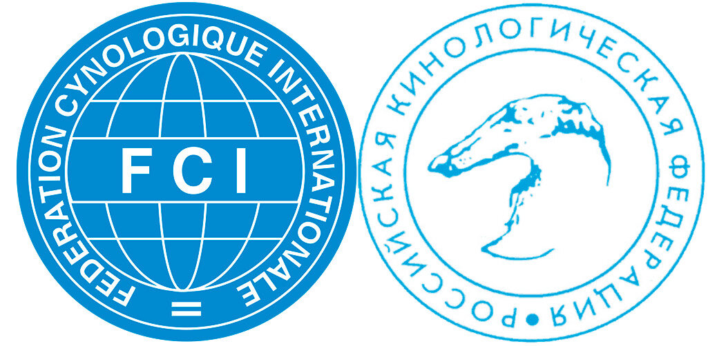 Яндекс картинки