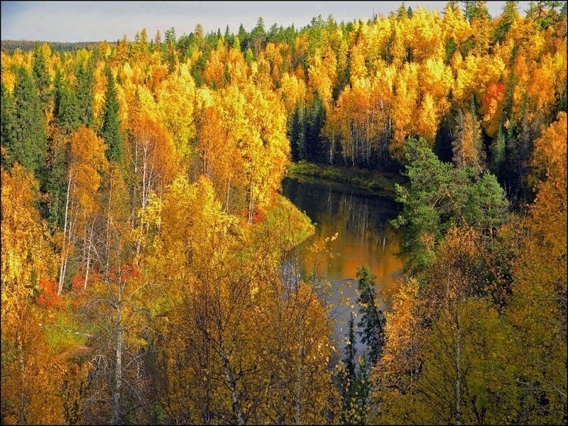 фото из открытого источника яндекс