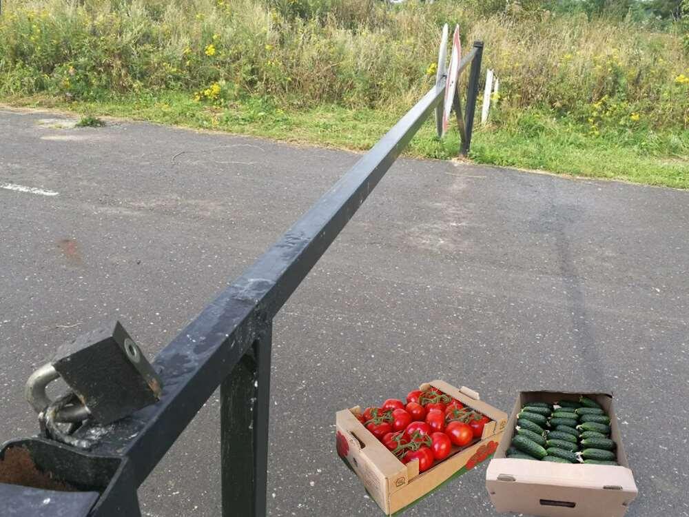 шлагбаум на дачах