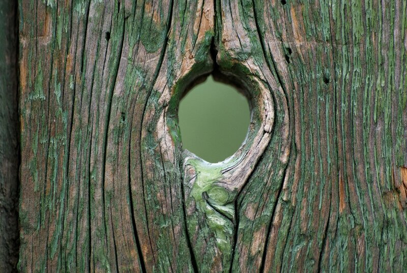 Яндекс-картинка