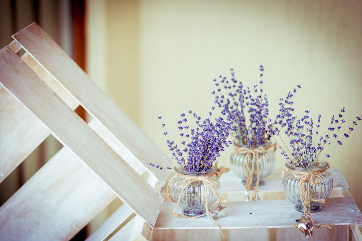 Lavender Лаванда Decor