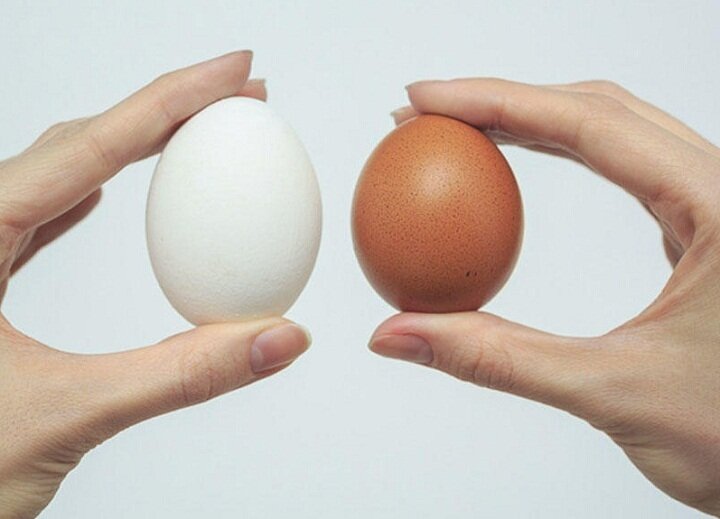 Размер яиц зависит не от цвета скорлупы!