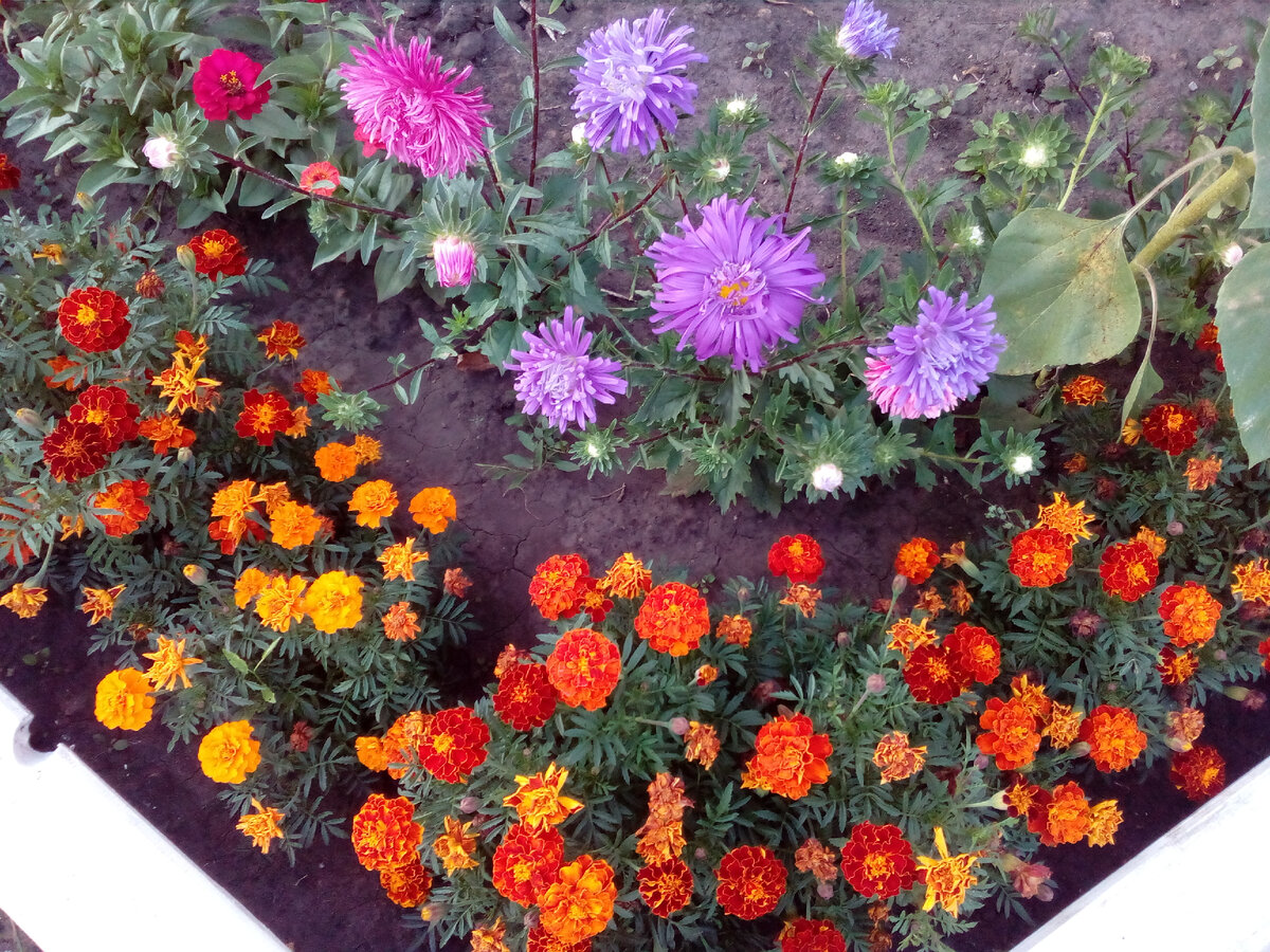 Ну разве это бесполезная трата земли?! Красота же какая!